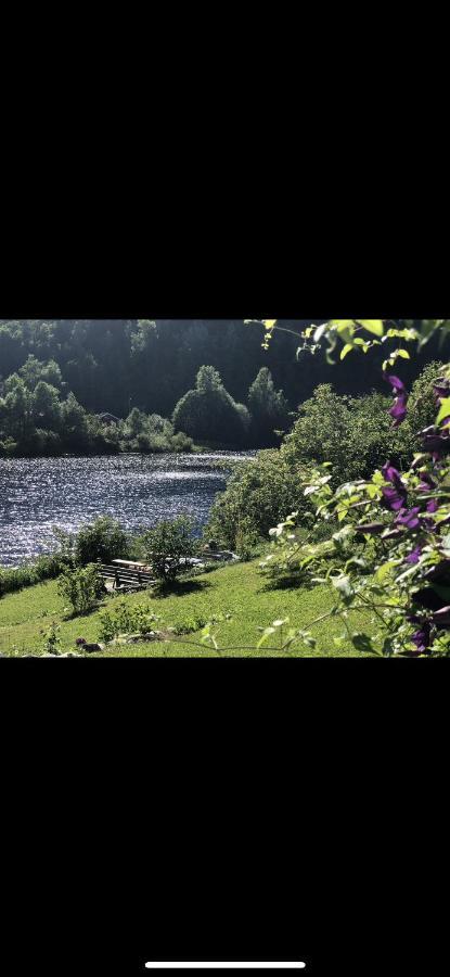 Glamping On Idyllic Lake, Paddle Boards & Rowboat Porsgrunn Exterior photo